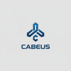 Cabeus: Комплексные Решения для СКС и Сетевой Инфраструктуры Cabeus: Комплексные Решения для СКС и Сетевой Инфраструктуры