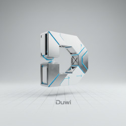 Duwi