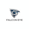 Falcon Eye: Современные Решения для Вашей Безопасности Falcon Eye: Современные Решения для Вашей Безопасности