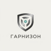 Гарнизон: Надежность и Экономия для Вашего Цифрового Мира Гарнизон: Надежность и Экономия для Вашего Цифрового Мира