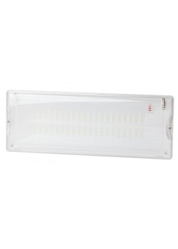 Светильник светодиодный DPA-301-1-65 IP65 40LED 3ч аварийный постоянный Эра Б0051843
