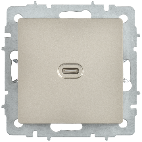BRITE Розетка USB C 65Вт высокоскоростная зарядка РЮ12-1-БрШ шампань IEK BRITE Розетка USB C 65Вт высокоскоростная зарядка РЮ12-1-БрШ шампань IEK