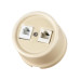 Розетка телефонная RJ11 + компьютерная RJ45 сл. кость «Болонь» TDM Розетка телефонная RJ11 + компьютерная RJ45 сл. кость «Болонь» TDM