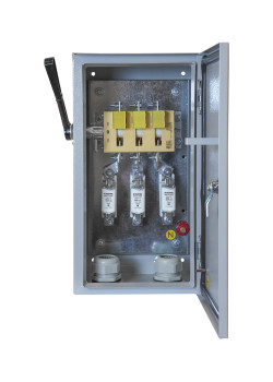 ЯРПП-100-54 УХЛ2, с ППН-33 100А, держатели медь, IP54  (ЭТ)