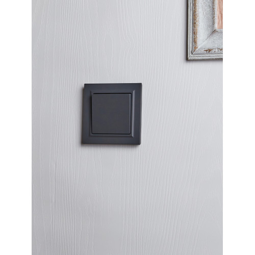 BRITE Выключатель 1-клавишный 10А в сборе ВСР10-1-0-БрГ графит IEK BRITE Выключатель 1-клавишный 10А в сборе ВСР10-1-0-БрГ графит IEK