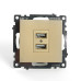Розетка 2-местная USB (механизм), STEKKER, GLS10-7115-08, 250В, 2,1А, серия Катрин, золото Розетка 2-местная USB (механизм), STEKKER, GLS10-7115-08, 250В, 2,1А, серия Катрин, золото