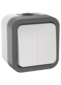 TORS Выключатель двухклавишный 10А IP55 TS205 серо-белый IEK