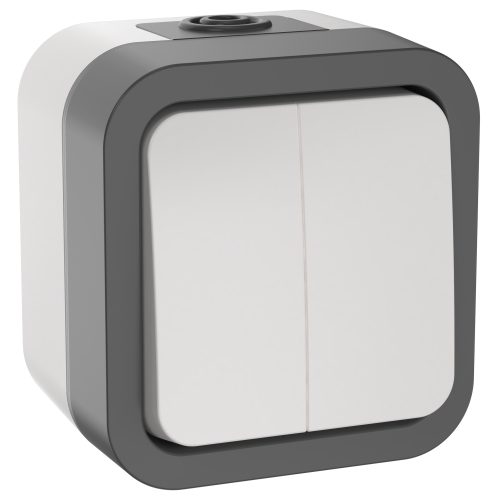 TORS Выключатель двухклавишный 10А IP55 TS205 серо-белый IEK