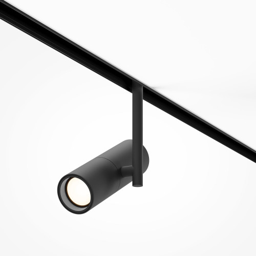 Maytoni TR005-2-12W4K-B
