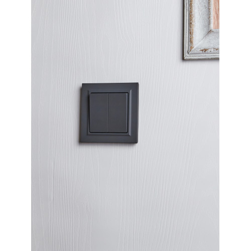 BRITE Выключатель 2-клавишный 10А в сборе ВСР10-2-0-БрГ графит IEK BRITE Выключатель 2-клавишный 10А в сборе ВСР10-2-0-БрГ графит IEK