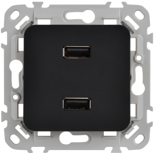 FLITE Розетка USB A+A 2,1А РЮ-2-ФлЧ черный IEK FLITE Розетка USB A+A 2,1А РЮ-2-ФлЧ черный IEK