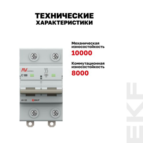 AV-125 2P 100A (C) 10kA EKF AVERES