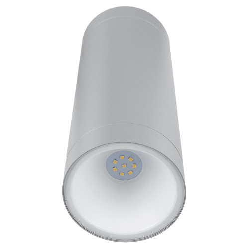 Светильник настенный LED, Тубо, 2х6 Вт, 4000 К, H252 мм, алюм./сер., вверх/вниз, IP65, TDM Светильник настенный LED, Тубо, 2х6 Вт, 4000 К, H252 мм, алюм./сер., вверх/вниз, IP65, TDM
