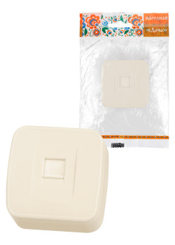 Розетка компьютерная (RJ-45) открытой установки IP20, сл. кость 