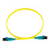 Panduit F92ELQ1Q1SNM003