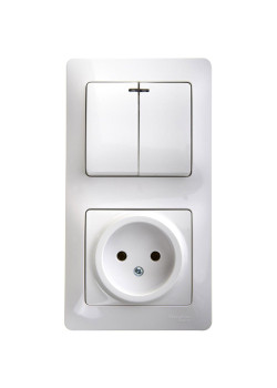 SYSTEME ELECTRIC GSL000173