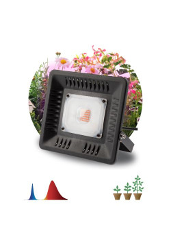 Прожектор светодиодный для растений FITO-50W-LED BLUERED 50Вт IP65 220-240В -30град. до + 45град. 30000ч для цветения и плодоношения красно-синего спектра ЭРА Б0039033