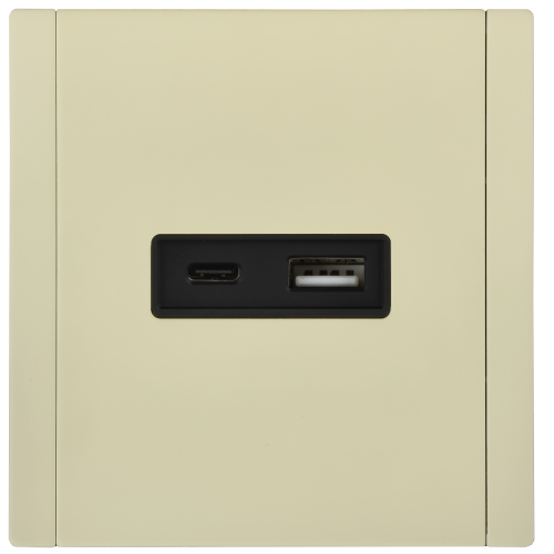 FORTE&PIANO Розетка USB A+C 3,1А FP850M металл слоновая кость IEK FORTE&PIANO Розетка USB A+C 3,1А FP850M металл слоновая кость IEK