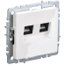 BRITE Розетка компьютерная двойная RJ45 кат.6 РК11-2-БрБ белый IEK