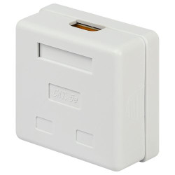 Розетка компьютерная 2-м RJ45 кат.5E неэкранир. Эра Б0056902