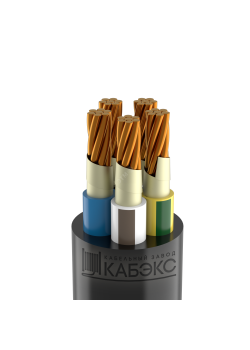 Кабель силовой ВВГнг(А)-FRLS 5x25 мк(N, PE)-0.66