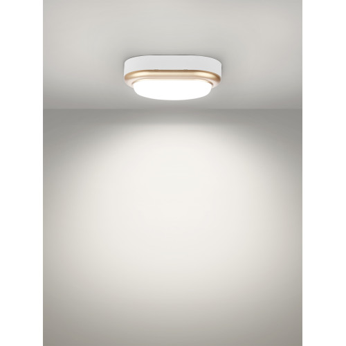 Светильник накладной LED ДПО Светильник накладной LED ДПО
