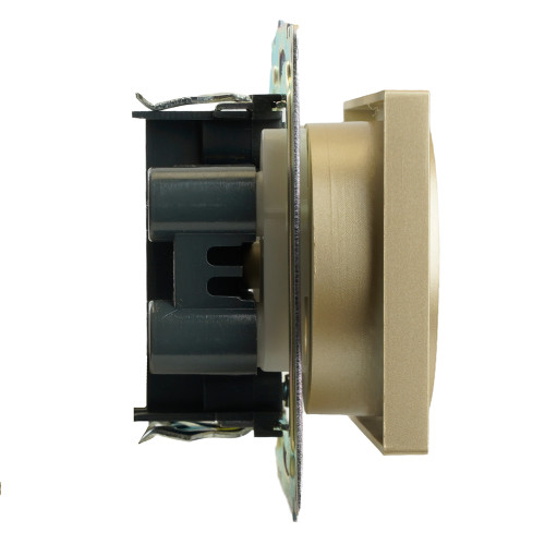 GLS10-7113-08 Розетка 2-местная с защитной шторкой (механизм) б/з, 250В, 10А, серия Катрин, золото GLS10-7113-08 Розетка 2-местная с защитной шторкой (механизм) б/з, 250В, 10А, серия Катрин, золото