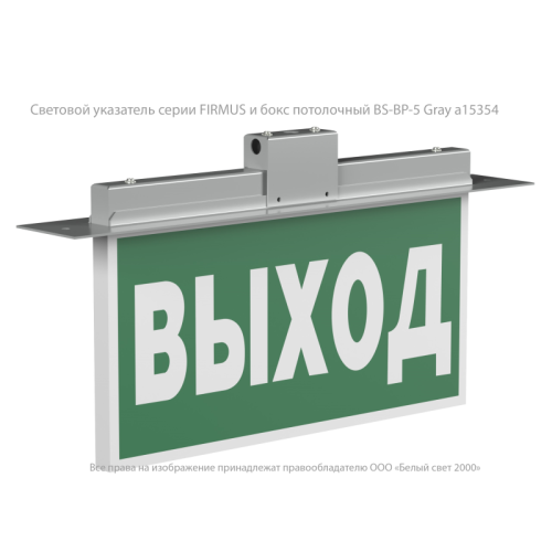 Указатель световой BS-FIRMUS-71-S1-INEXI2 Белый свет a18967 Указатель световой BS-FIRMUS-71-S1-INEXI2 Белый свет a18967