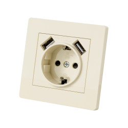 Розетка 2П+З 16А 250В + 2 USB порта 2,1А 5В сл. кость 