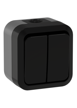 TORS Выключатель двухклавишный проходной 10А IP55 TS125 графит IEK