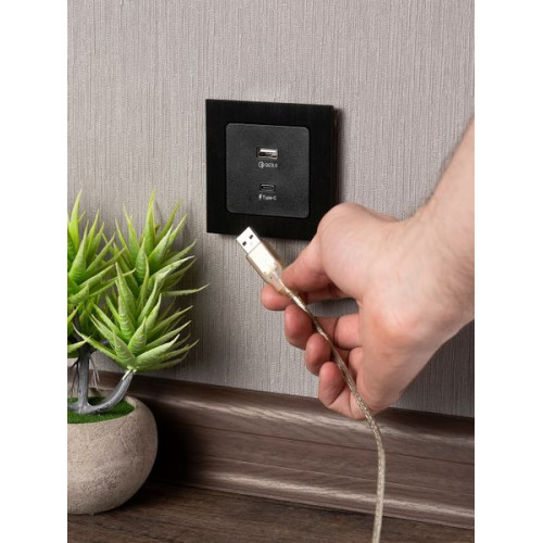Стокгольм Механизм Розетки с 2USB type-A + type-C черный EKF Стокгольм Механизм Розетки с 2USB type-A + type-C черный EKF