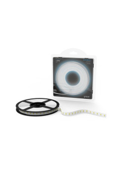 Лента светодиодная Black 2835/120-SMD 6.5Вт/м 5000К холод. бел. IP20 600лм/м 24В (блист.5м) GAUSS 312000265