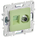 SKANDY Розетка двойная TV+RJ45 кат.5E SK-A14G мятный IEK