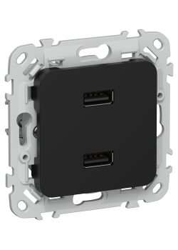 FLITE Розетка USB A+A 2,1А РЮ-2-ФлЧ черный IEK