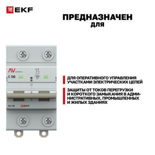 AV-125 2P 100A (C) 10kA EKF AVERES