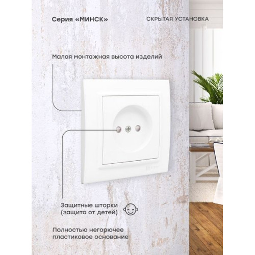 Минск Розетка 1-местная СП б/з 10 А, с защ. штор., белая EKF Минск Розетка 1-местная СП б/з 10 А, с защ. штор., белая EKF