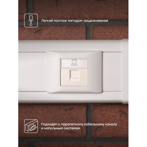 Розетка RJ45 кат. 5e, 2 модуля EKF Розетка RJ45 кат. 5e, 2 модуля EKF
