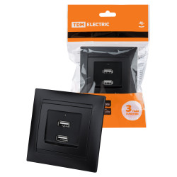 Розетка 2USB порт 2,1А 5В графит 