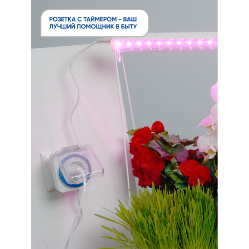 Розетка с таймером Feron TM31 суточная мощность 3500W/16A IP44 Розетка с таймером Feron TM31 суточная мощность 3500W/16A IP44