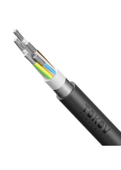 Кабель TOKOV ELECTRIC АВБШвнг(А) 5х50 МК (N PE) 0.66кВ (м) 00-00072449