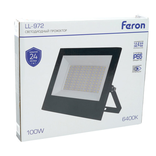 Светодиодный прожектор Feron LL-972IP65 100W 6400K