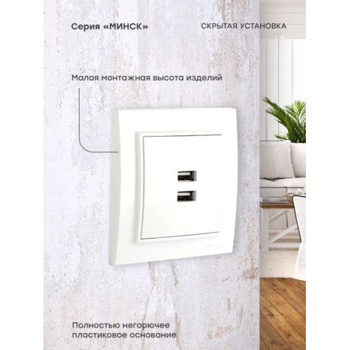 Минск Розетка USB 2-мест. СП 2,1А бел. EKF Минск Розетка USB 2-мест. СП 2,1А бел. EKF