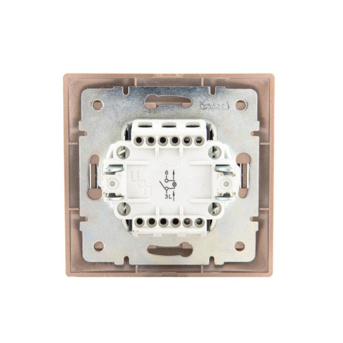 Выключатель 1-кл. СП Mira 10А IP20 с подсветкой со вставкой свет. корич. перламутр. LEZARD 701-3131-111 Выключатель 1-кл. СП Mira 10А IP20 с подсветкой со вставкой свет. корич. перламутр. LEZARD 701-3131-111