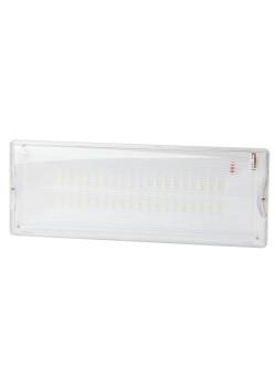 Светильник светодиодный DPA-301-0-65 40LED 3ч IP65 аварийный непостоянный Эра Б0044405