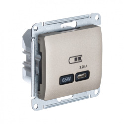 GLOSSA USB РОЗЕТКА тип-C 65Вт высокоскор.заряд. QC, PD, механизм, ТИТАН