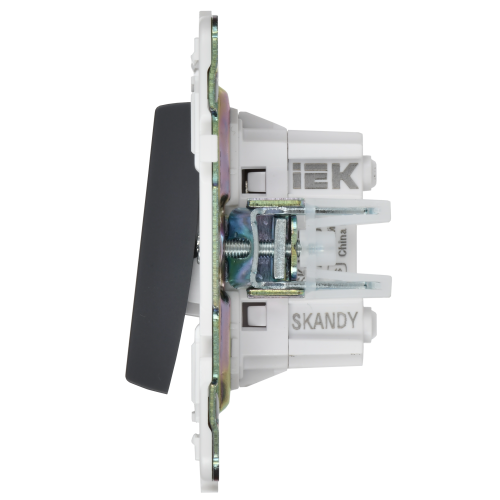 SKANDY Выключатель 2-клавишный перекрестный 10А SK-V06T титан IEK