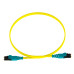 Panduit F92ELQ1Q1SNM002