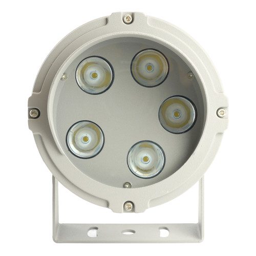 Светодиодный светильник ландшафтно-архитектурный Feron LL-700 85-265V 10W 6400K IP65 Светодиодный светильник ландшафтно-архитектурный Feron LL-700 85-265V 10W 6400K IP65