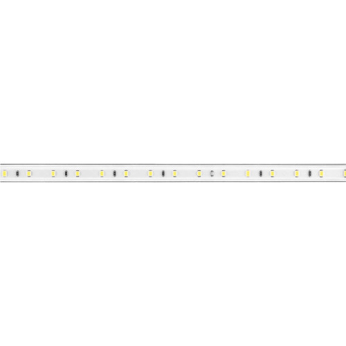 Cветодиодная LED лента Feron LS704, 60SMD(2835)/м 4.4Вт/м  100м 220V IP65. красный