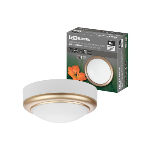 Светильник накладной LED ДПО 
